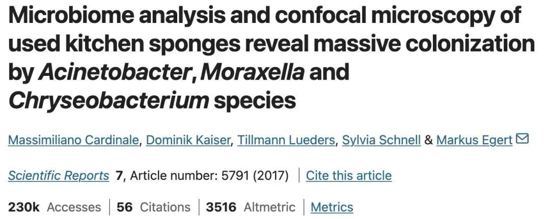你最信任的清洁工具可能早就细菌爆表!很多人家里天天用 你最信任的清洁工具可能早就细菌爆表!很多人家里天天用