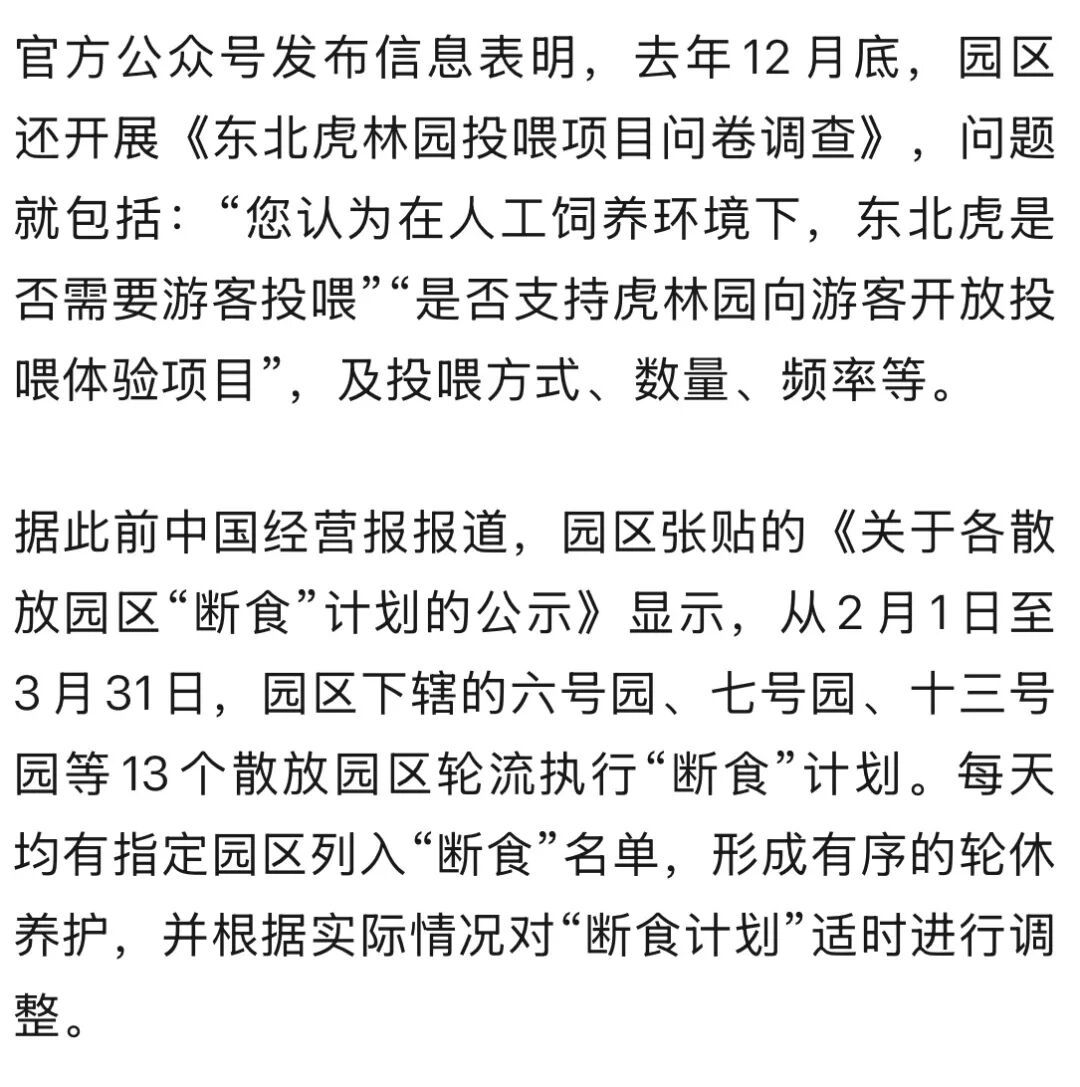真吃不动了!哈尔滨300多只东北虎轮流启动“轻断食”,以应对近期高频的投喂压力 真吃不动了!哈尔滨300多只东北虎轮流启动“轻断食”,以应对近期高频的投喂压力