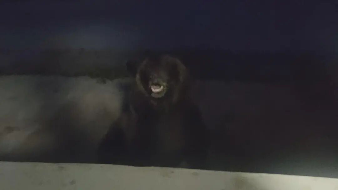 每年爬高堪比10个珠峰！他在零下40℃守护106个基站