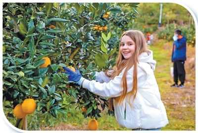 “反向代购”火了，老外都组团来中国买点啥？