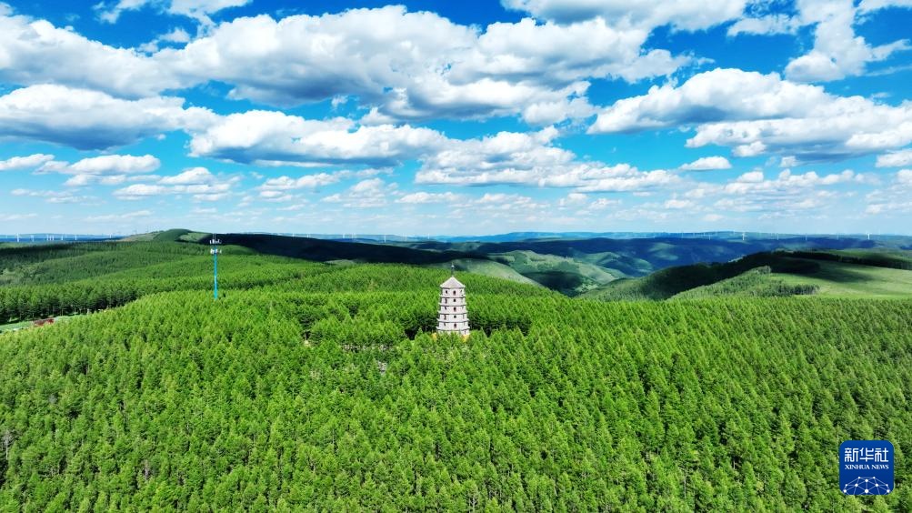 镜观中国丨影像回眸“十四五”——生态优先 绿色发展