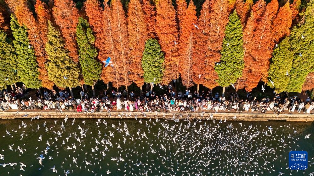 镜观中国丨影像回眸“十四五”——生态优先 绿色发展