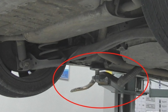 头皮发麻!野餐垫里突然掉出长蛇...... 头皮发麻!野餐垫里突然掉出长蛇......