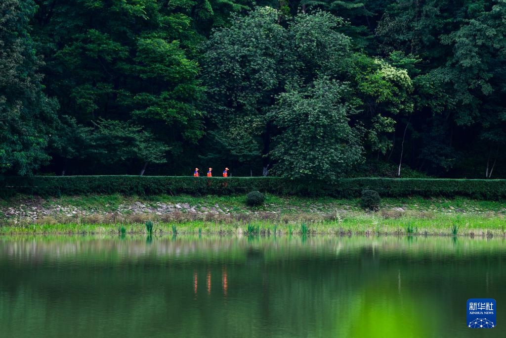 镜观中国丨影像回眸“十四五”——生态优先 绿色发展