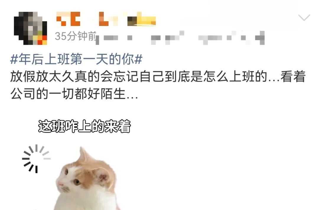 “医生建议上班前三天少干活”