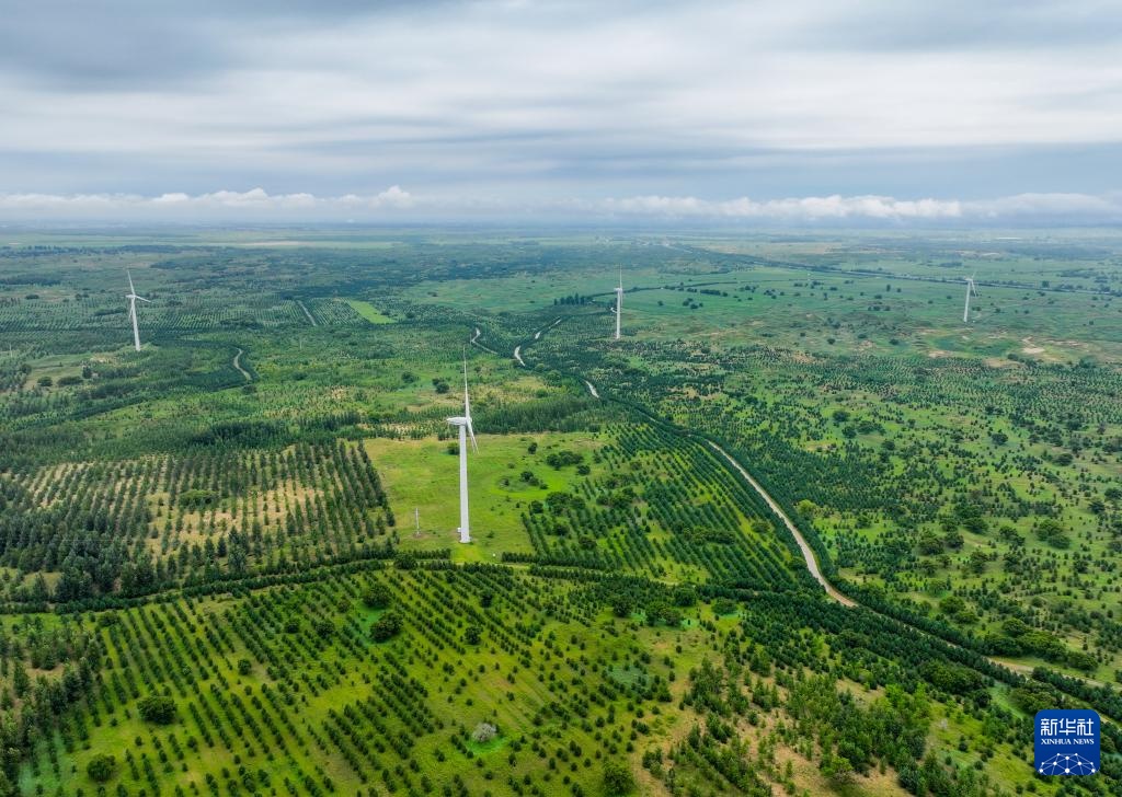 镜观中国丨影像回眸“十四五”——生态优先 绿色发展