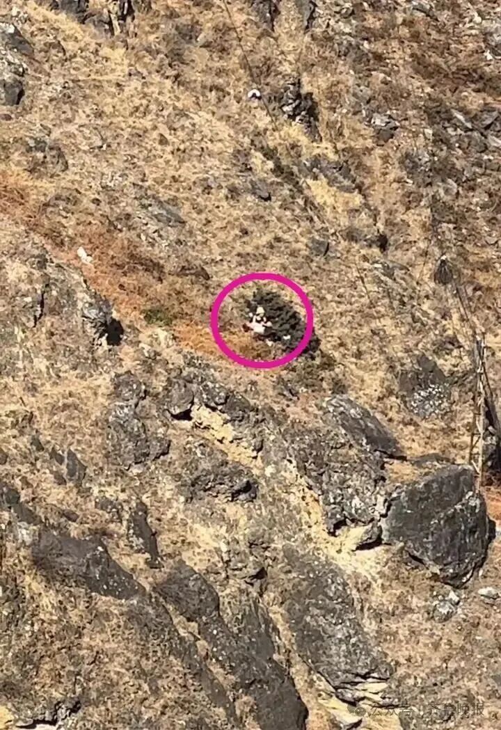 8岁男童大年初五坠崖不幸遇难！虎跳峡景区：事发地属未开放区域