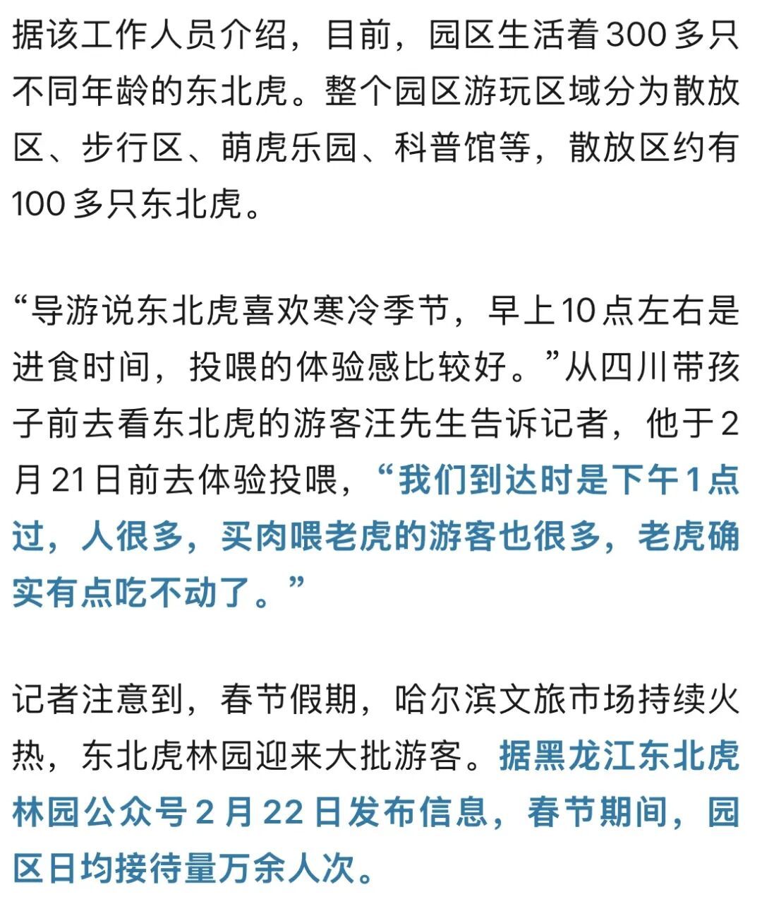 真吃不动了!哈尔滨300多只东北虎轮流启动“轻断食”,以应对近期高频的投喂压力 真吃不动了!哈尔滨300多只东北虎轮流启动“轻断食”,以应对近期高频的投喂压力