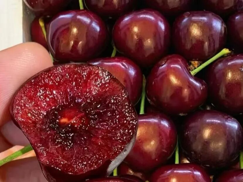 这种车厘子，毒性可达砒霜的68倍，这样保存最多可放3个月→