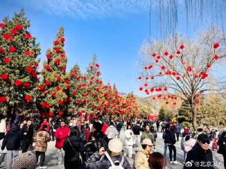 春节长假，北京公园接待游客超千万人次