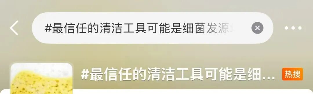 你最信任的清洁工具可能早就细菌爆表!很多人家里天天用 你最信任的清洁工具可能早就细菌爆表!很多人家里天天用