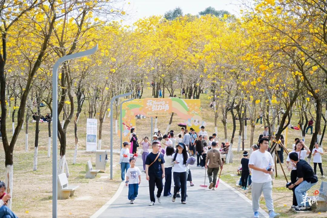 广东雨水也“复工”，本周华南局地将有大到暴雨