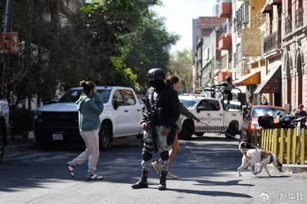 墨西哥贩毒集团报复行动致27名安全人员死亡