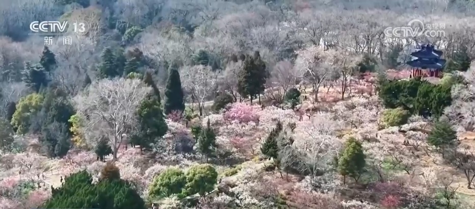 春日美景醉游人 与“花花世界”来一场浪漫邂逅