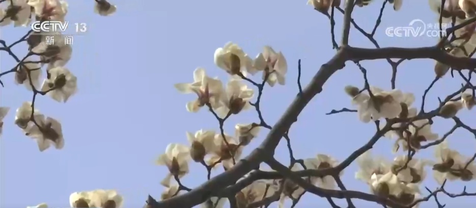 春日美景醉游人 与“花花世界”来一场浪漫邂逅