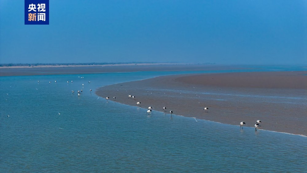 国家林草局：排查风险隐患 加强春季鸟类保护