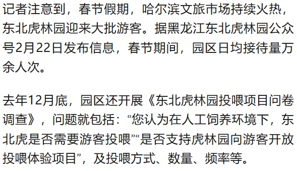 春节后要减肥的不只是人!真吃不动了!黑龙江东北虎林园300多只东北虎轮流“轻断食” 春节后要减肥的不只是人!真吃不动了!黑龙江东北虎林园300多只东北虎轮流“轻断食”