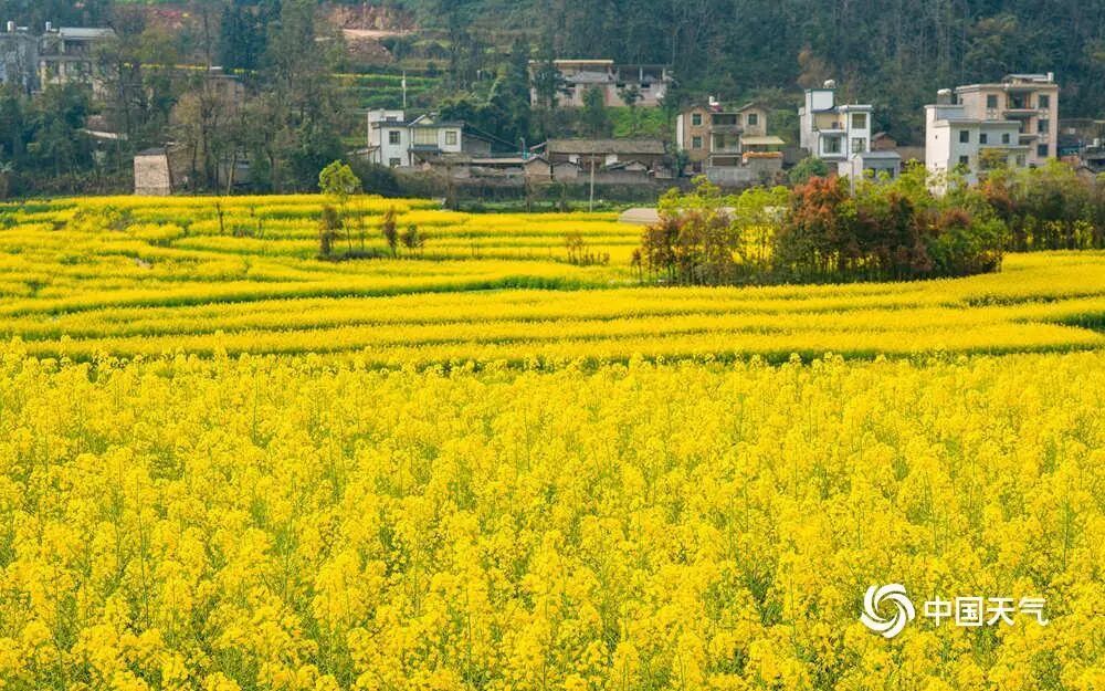 暴雨、雷暴大风、冰雹即将登场!未来一周广东泡在雨里 暴雨、雷暴大风、冰雹即将登场!未来一周广东泡在雨里