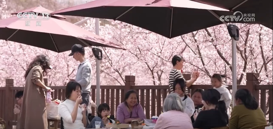 春日美景醉游人 与“花花世界”来一场浪漫邂逅