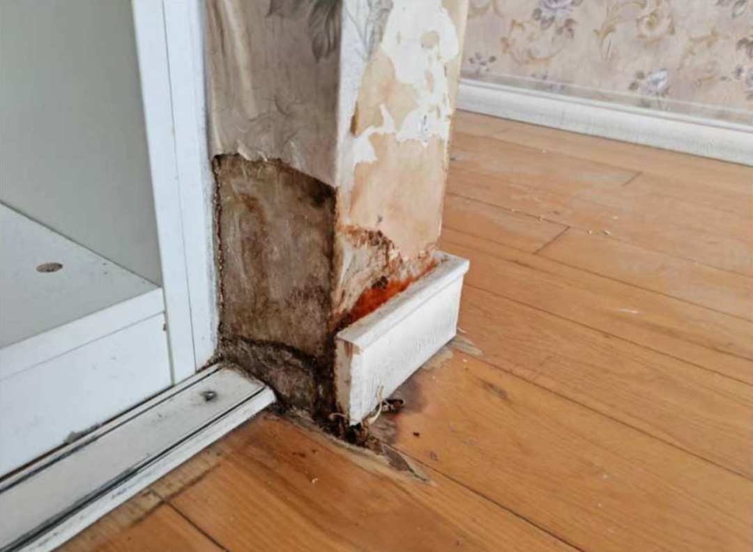 看房时一见倾心，入住后却成了“蘑菇屋”？