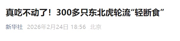 春节后要减肥的不只是人!真吃不动了!黑龙江东北虎林园300多只东北虎轮流“轻断食” 春节后要减肥的不只是人!真吃不动了!黑龙江东北虎林园300多只东北虎轮流“轻断食”