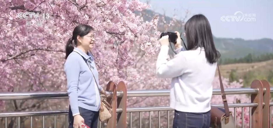 春日美景醉游人 与“花花世界”来一场浪漫邂逅