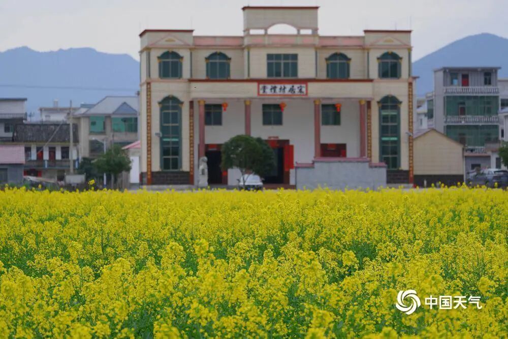 暴雨、雷暴大风、冰雹即将登场!未来一周广东泡在雨里 暴雨、雷暴大风、冰雹即将登场!未来一周广东泡在雨里
