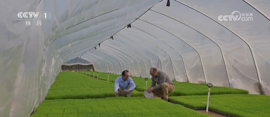 抓春管 抢农时 希望的田野万象“耕”新描绘振兴新图景 抓春管 抢农时 希望的田野万象“耕”新描绘振兴新图景