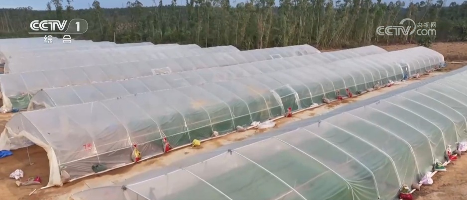 抓春管 抢农时 希望的田野万象“耕”新描绘振兴新图景 抓春管 抢农时 希望的田野万象“耕”新描绘振兴新图景