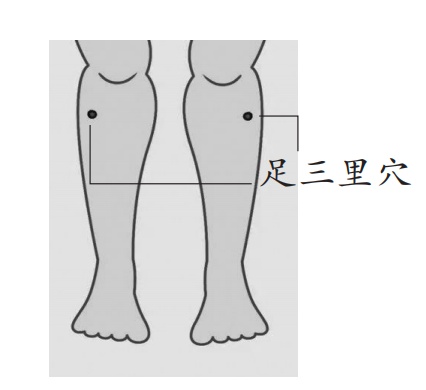 调理脾胃 轻松“享瘦”