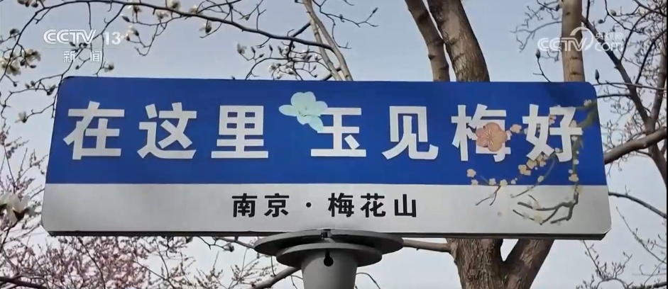 春日美景醉游人 与“花花世界”来一场浪漫邂逅