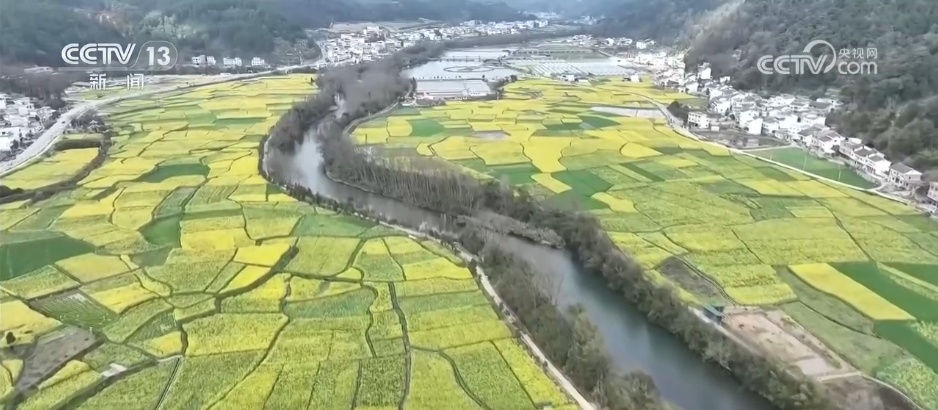 走“花路”、绘新景 农文旅融合让乡村“冬闲田”变“增收田”
