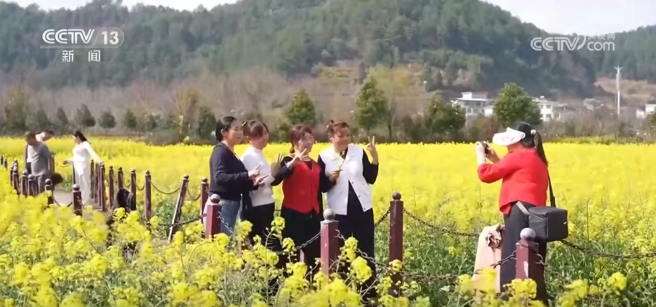 走“花路”、绘新景 农文旅融合让乡村“冬闲田”变“增收田”