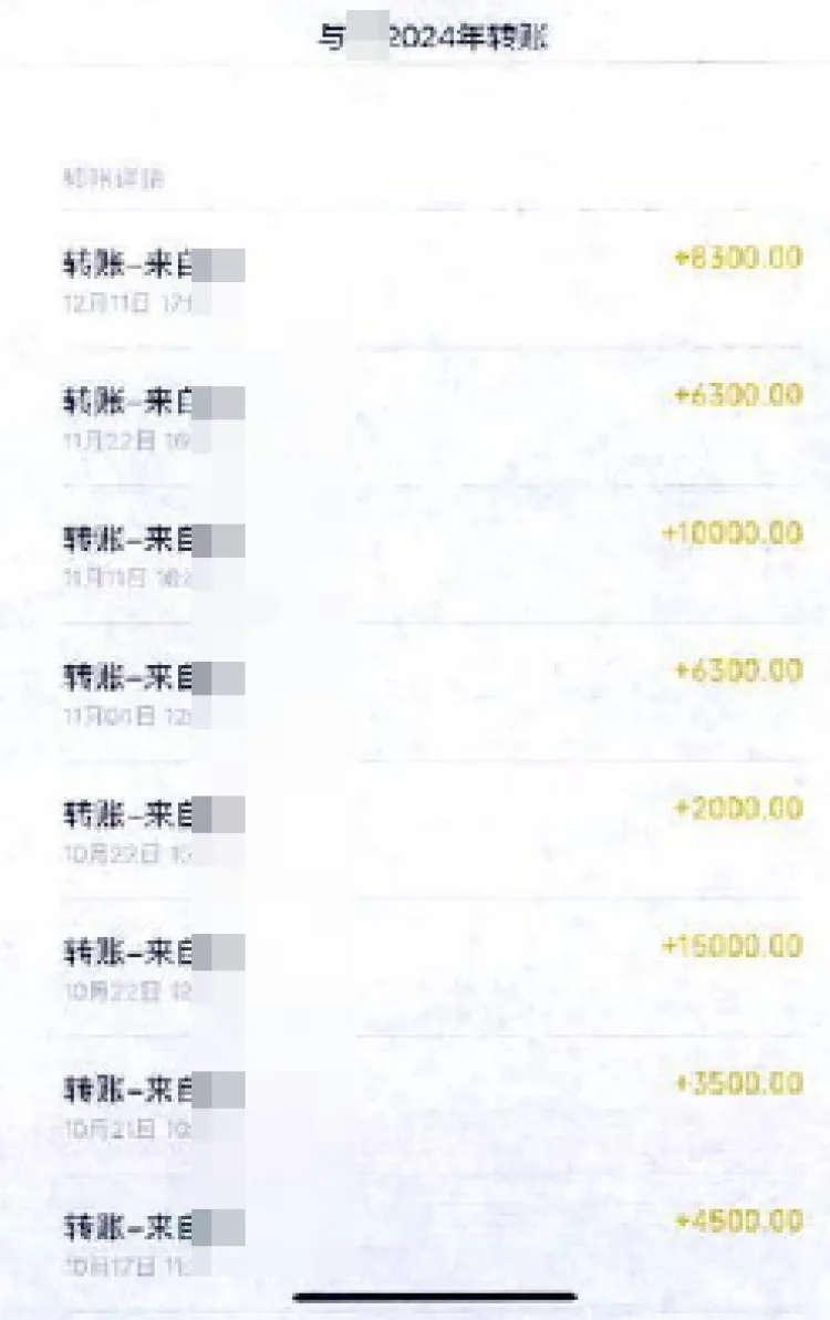 近百万元被悄悄转走！上海阿婆毫无察觉，还引狼入室：“我有两套房，你可以搬来住”