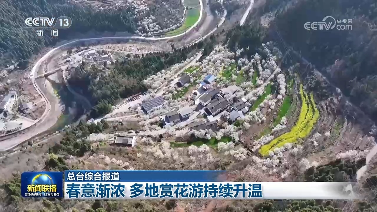 春意渐浓 多地赏花游持续升温