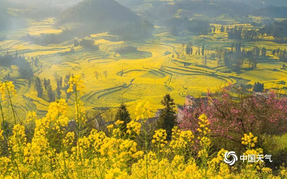 暴雨、雷暴大风、冰雹即将登场!未来一周广东泡在雨里 暴雨、雷暴大风、冰雹即将登场!未来一周广东泡在雨里