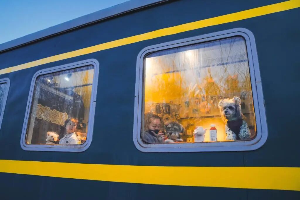 “今年我们过年聚会,‘麦子’再也不用单独在家里等着了” “今年我们过年聚会,‘麦子’再也不用单独在家里等着了”