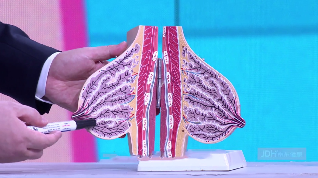 每天 30g,癌症风险降 46%!这款饮品牛奶替代不了 每天 30g,癌症风险降 46%!这款饮品牛奶替代不了