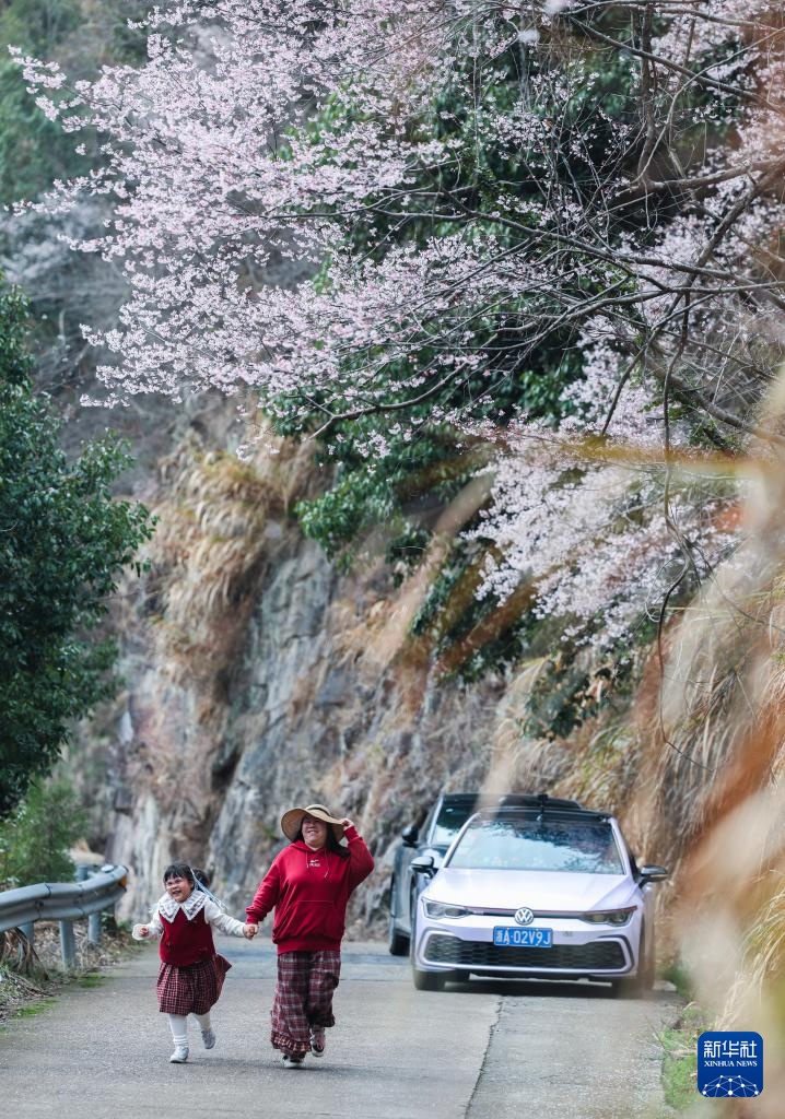 美丽中国丨万亩山花迎春来 山乡美景助共富