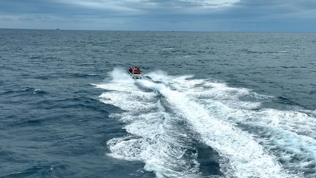 砺剑海天！大图直击海警舰艇编队训练现场
