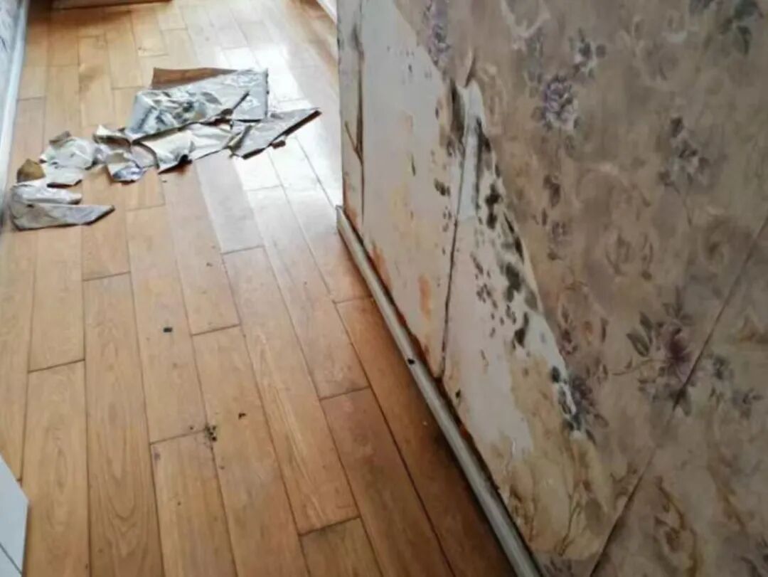 看房时一见倾心，入住后却成了“蘑菇屋”？