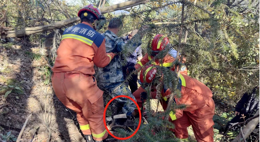为救邻家小狗女子不慎“中招”，此前自家宠物已屡遭毒手！警惕这个“隐形杀手”