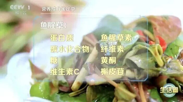 春天易生病?别担心,这3种地里长的“药”就在你家餐桌上,帮你增强免疫力! 春天易生病?别担心,这3种地里长的“药”就在你家餐桌上,帮你增强免疫力!