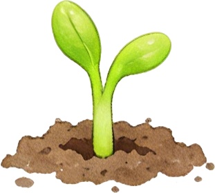 福建未来一周都是雨！或有强对流