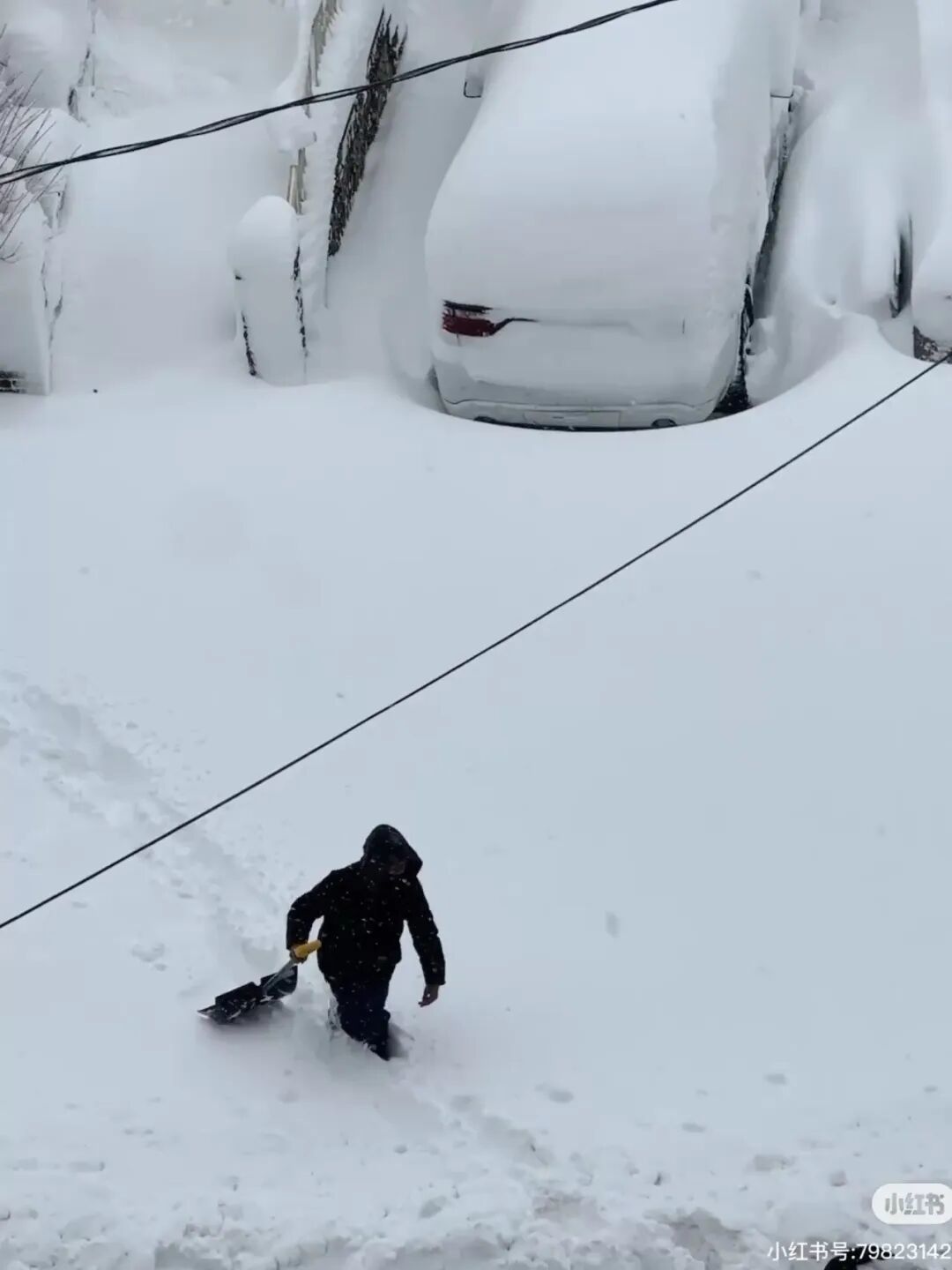 美国东北部遭遇“炸弹气旋”!网友:这里是“北美宁古塔”? 美国东北部遭遇“炸弹气旋”!网友:这里是“北美宁古塔”?