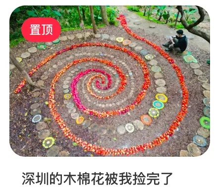 深圳公园的木棉花，开出了一匹“马”！