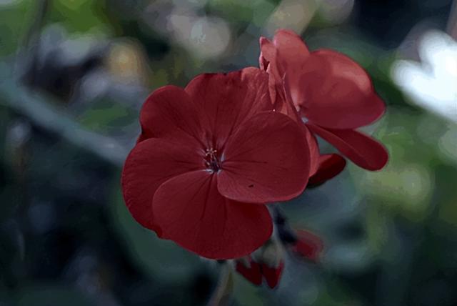 破案了！电影院普遍都是红色座椅，竟是因为它