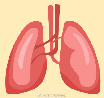 为什么加湿器使用不当会引发过敏性肺泡炎？