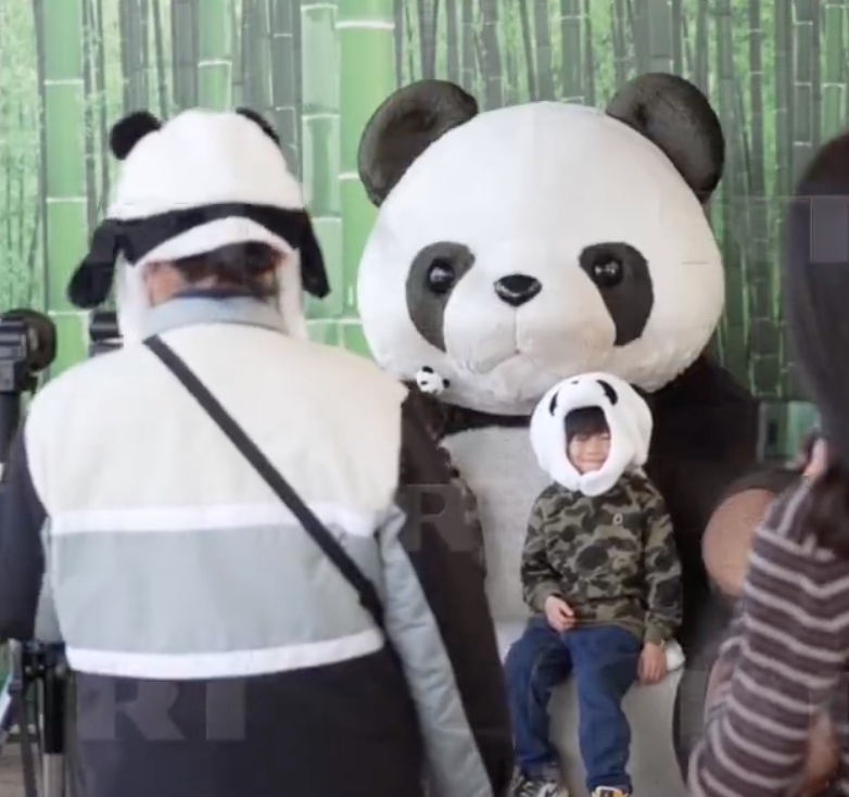 没有大熊猫怎么办？日本人在动物园扮演起了大熊猫
