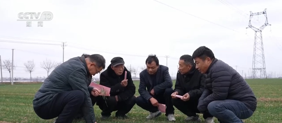 春耕春管添“智”力 科技助力希望的田野绘就“丰收画卷” 春耕春管添“智”力 科技助力希望的田野绘就“丰收画卷”